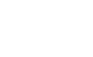 Union Logo Wit copy